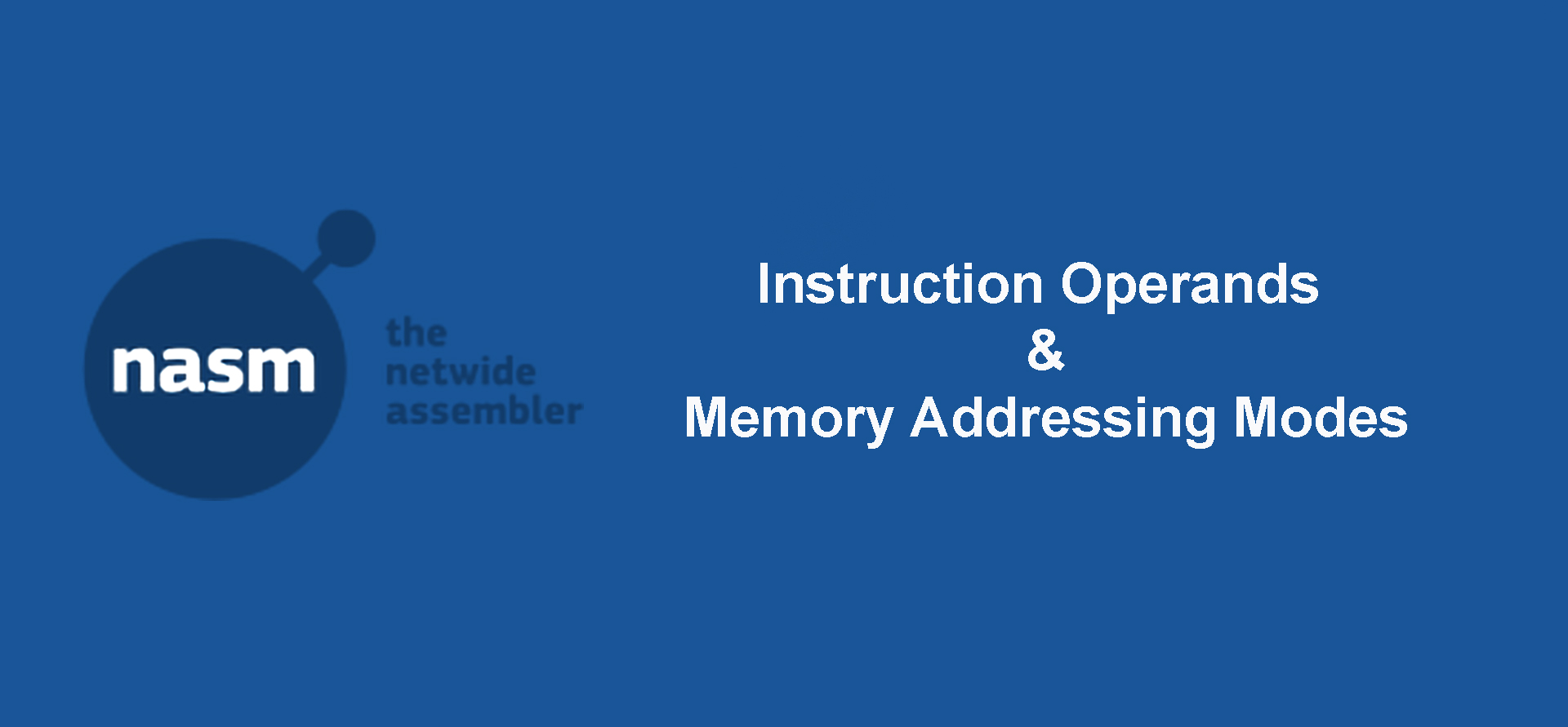 Instruction Operands and Memory Addressing Modes in NASM 32-bit